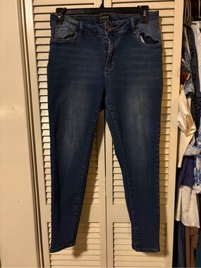 BloomChic Dark Wash Stretchy Skinny Jeans Size 14 / 1X